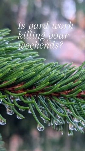 Video post from flutterbymeadows.