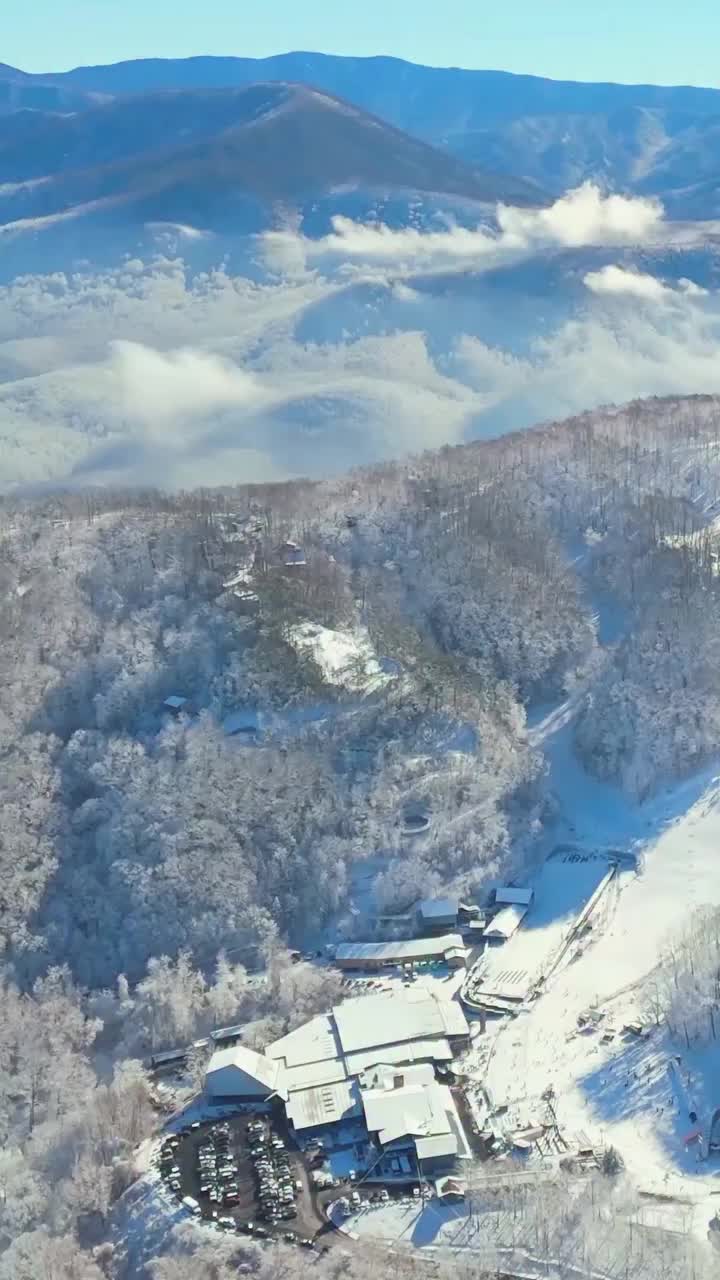 Video post from obermountain.