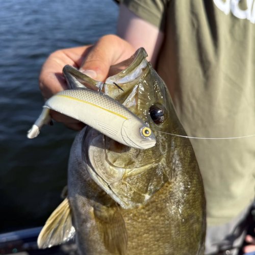 Photo post from garrettscustoms.