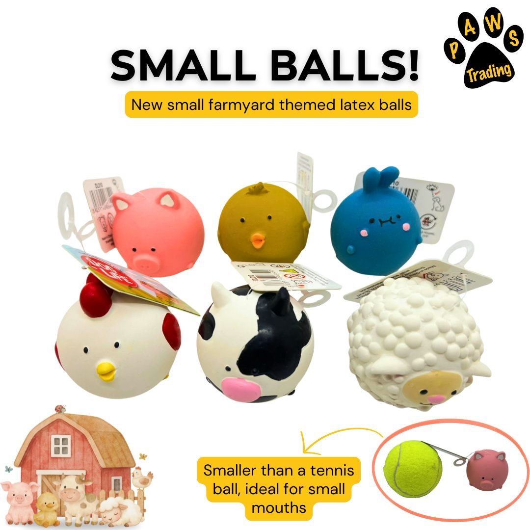 Photo post from pawstrading.