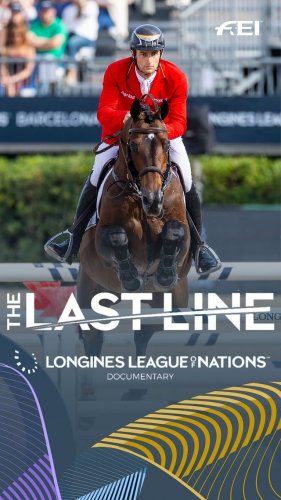 Video post from fei_global.