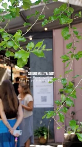 Video post from currumbinvalleyharvest.