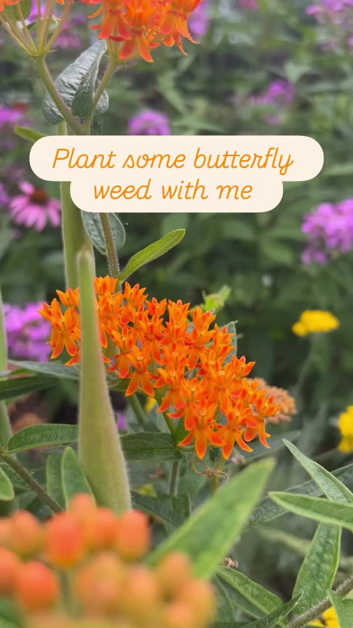 Video post from inthenaturehood.