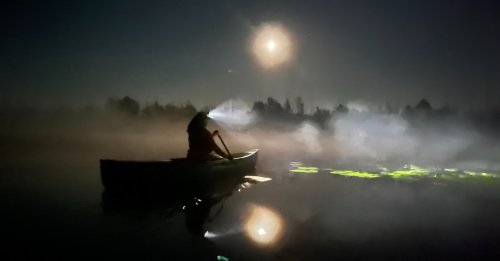 Carousel post from wisgreenfire.