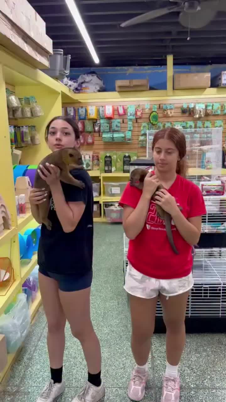 Video post from njexoticpets.