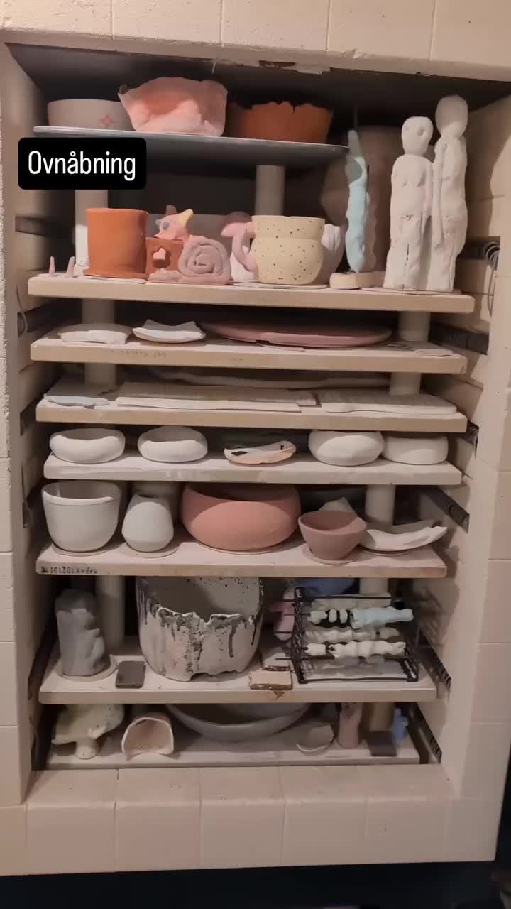 Video post from claymakers.royal.