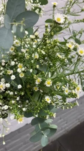 Video post from dellemannbloemen.