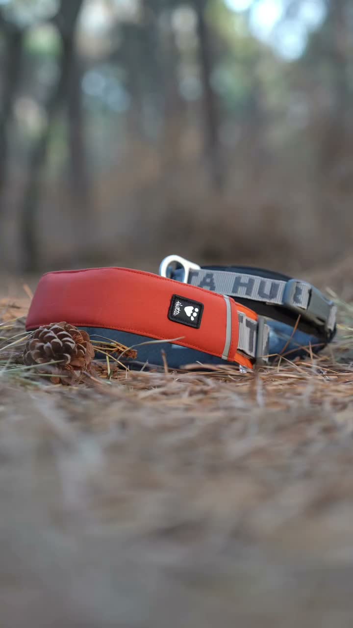 Video post from nakkandong.