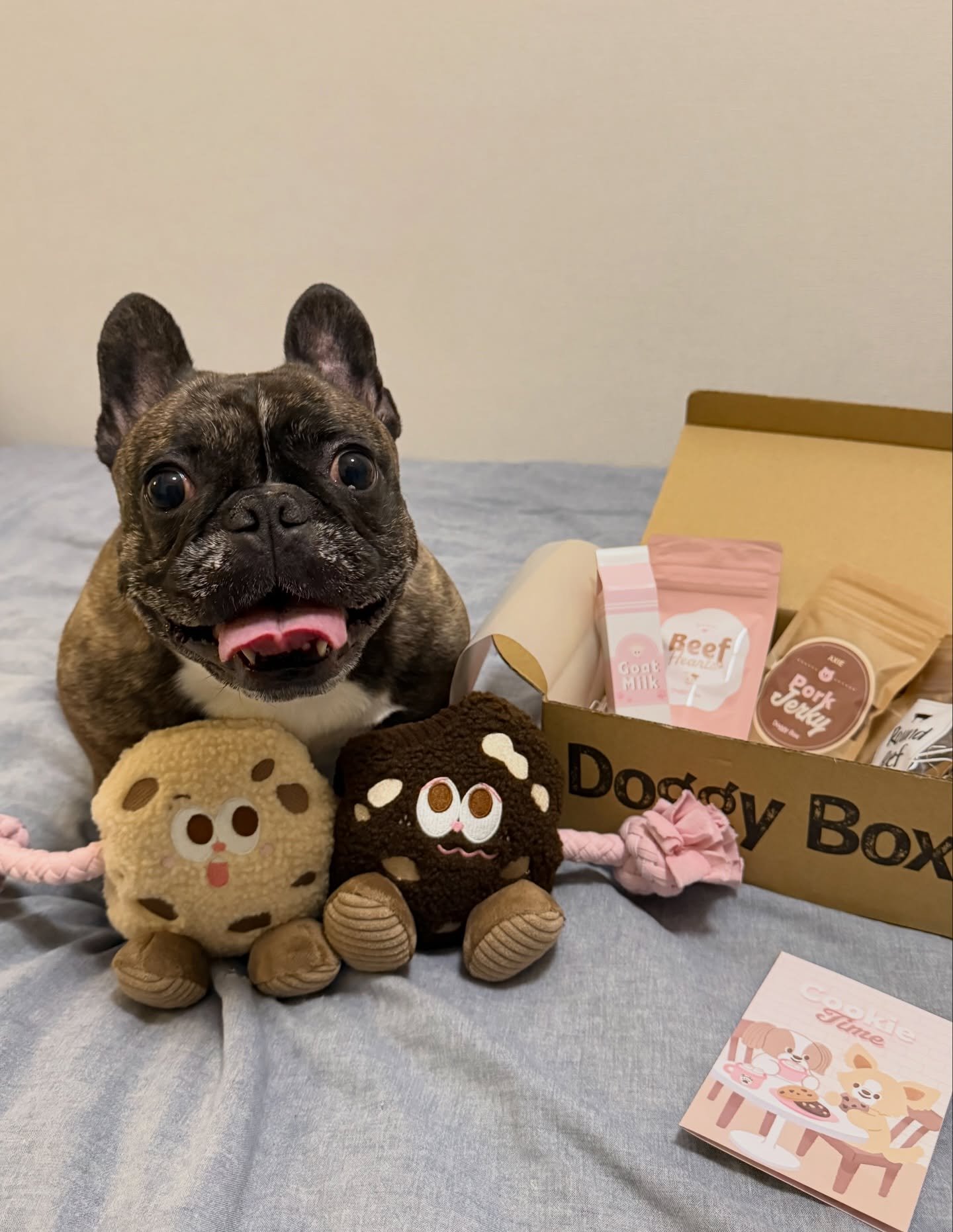 Doggy Box | 毎月サプライズいっぱいのBOXをお届け