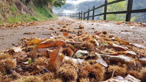 Photo post from cantabriaturismo.