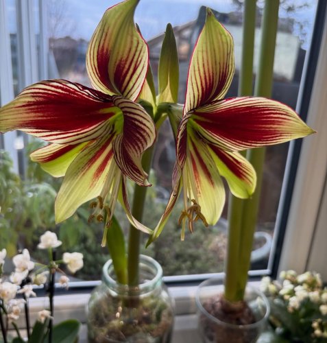 Photo post from gardenhousebrighton.