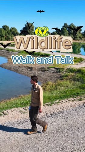 Video post from cvwdh2o.