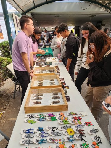 Carousel post from mastouami.