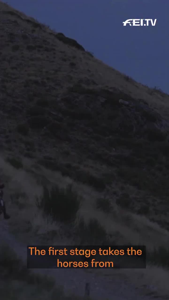 Video post from fei_global.