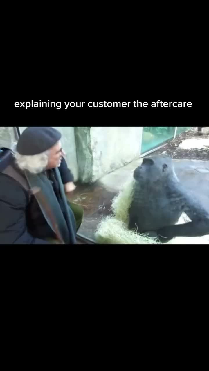 Video post from pegasus.pro.