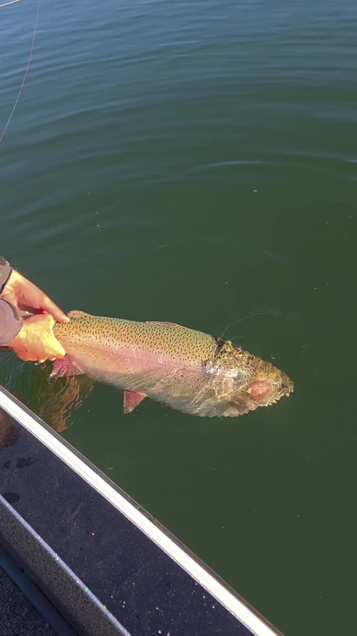 Video post from garrettscustoms.