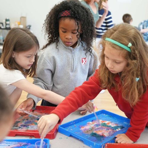 Carousel post from saeslions.