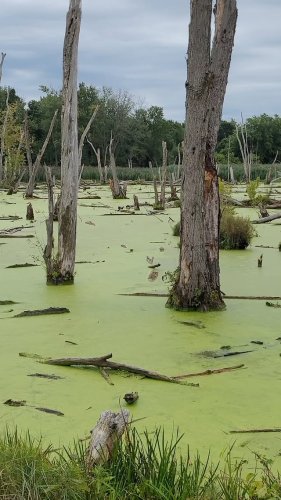 Video post from blinkerrrlive.