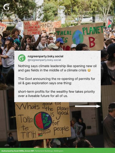 Carousel post from nzgreenparty.
