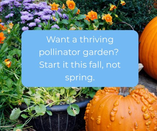 Photo post from camaspollinatorsupply.