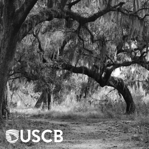 Photo post from uscbeaufort.