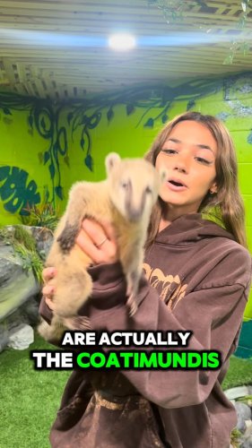Video post from njexoticpets.