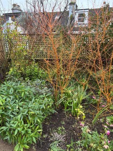 Carousel post from gardenhousebrighton.