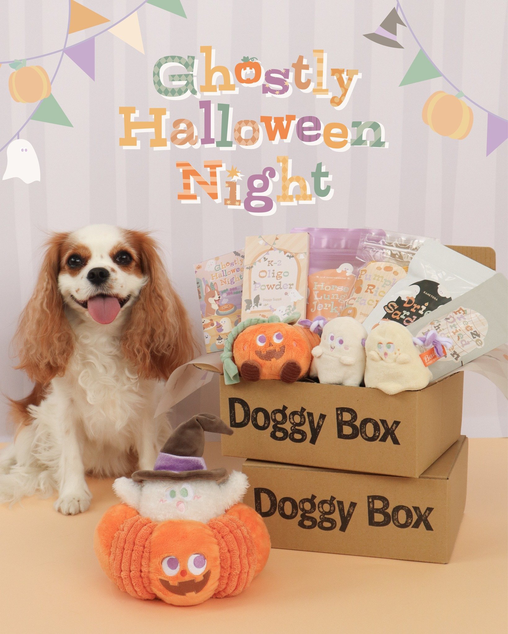 Doggy Box | 毎月サプライズいっぱいのBOXをお届け