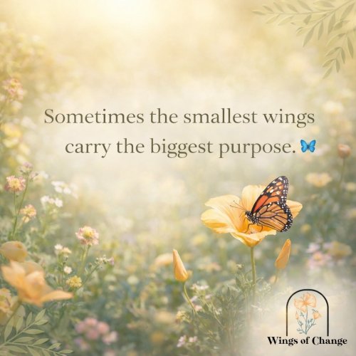 Photo post from wingsofchange2020.