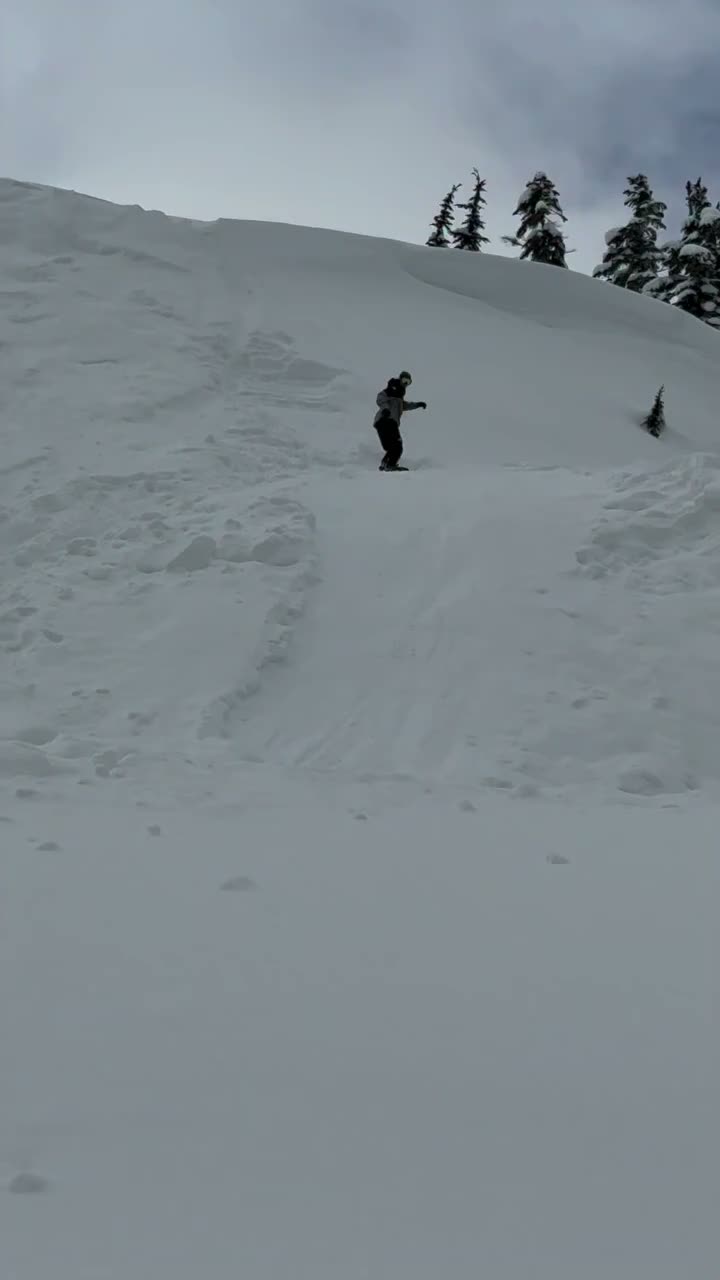 Video post from gnusnowboards.
