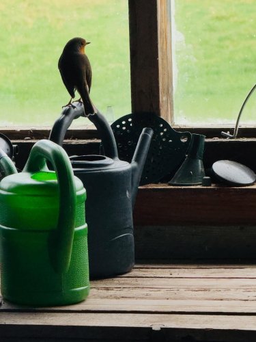 Carousel post from oldfarmhouseflowers.