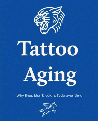 Carousel post from pegasus.pro.