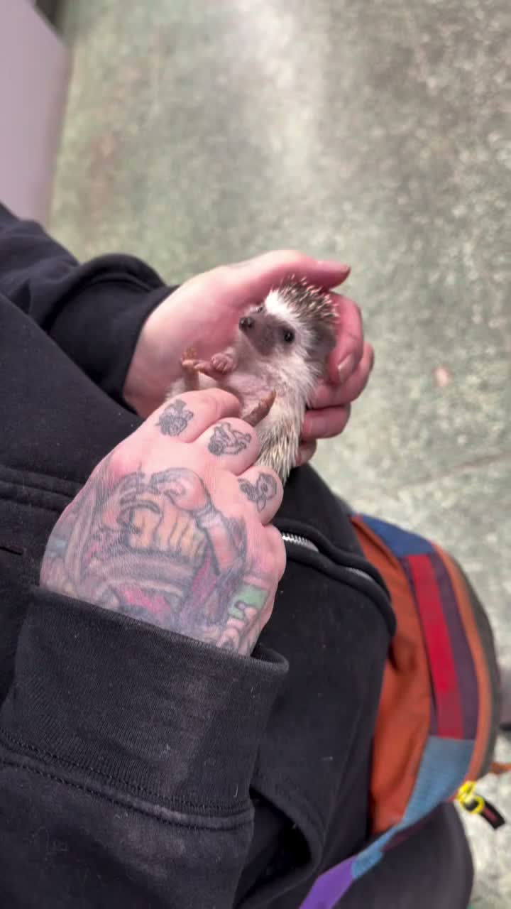 Video post from njexoticpets.