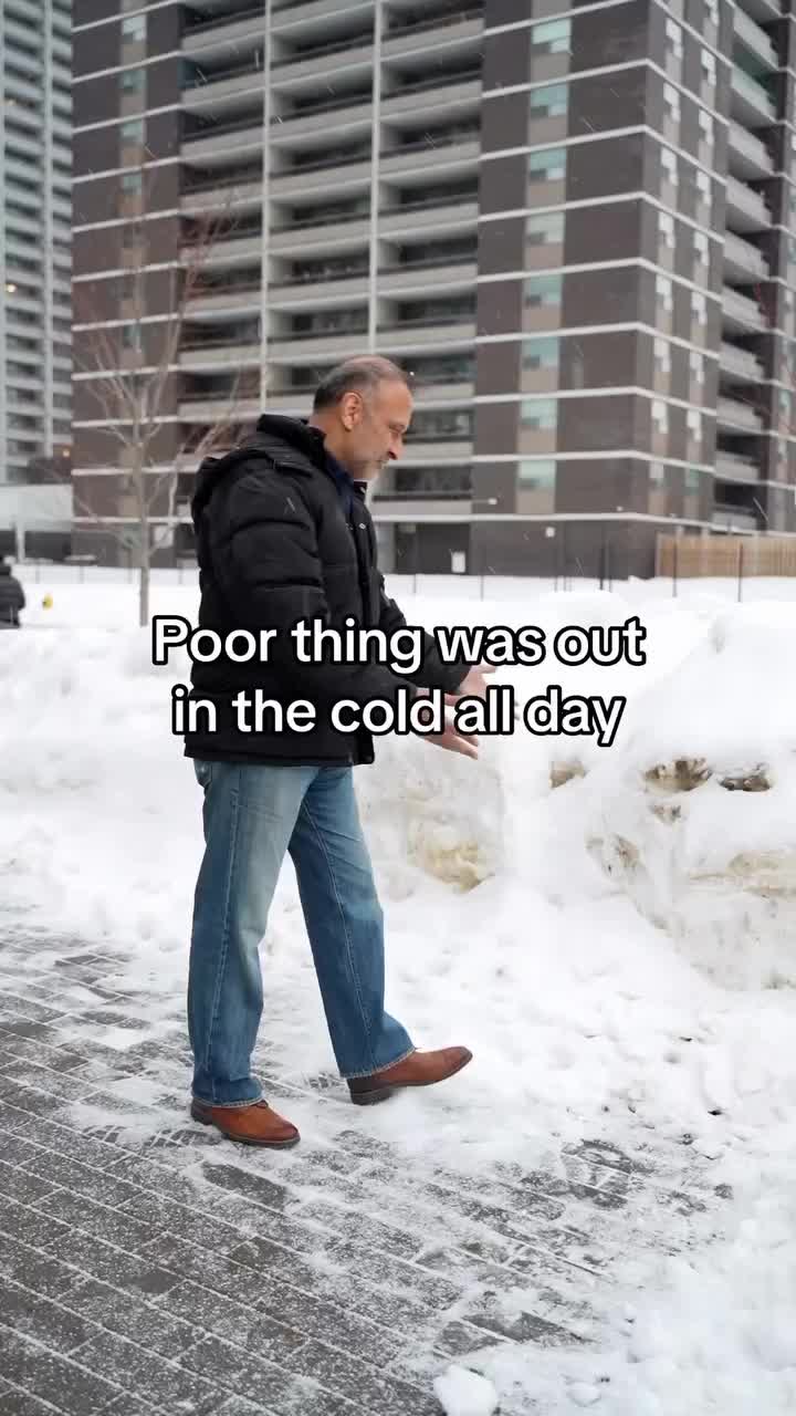 Video post from rollypollycow.