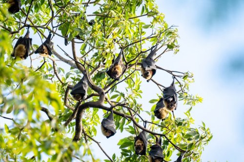 Photo post from hhltny.