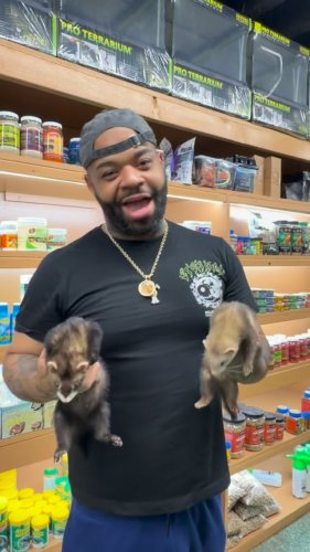 Video post from njexoticpets.