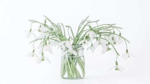 Photo post from angierobpics.