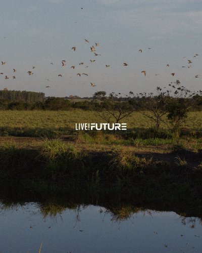 Carousel post from liveoficial.