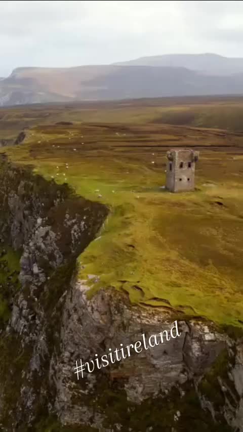 Video post from dinglepeninsulatourism.