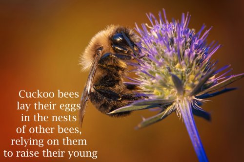 Photo post from mistyyoungphoto.