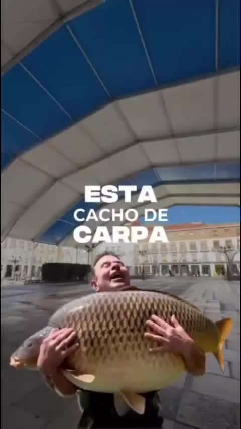 Video post from torrejonjoven.