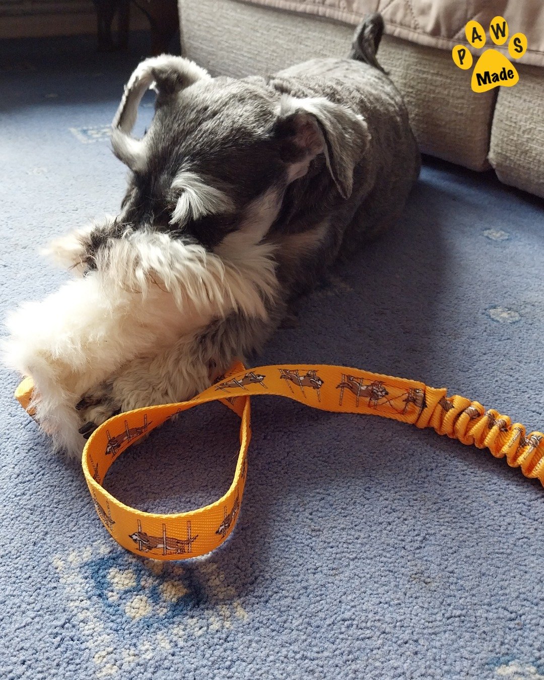 Photo post from pawstrading.
