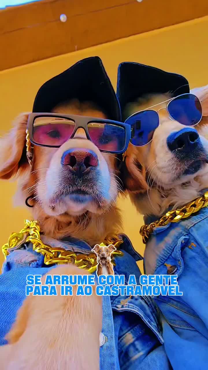 Video post from ananindeuapma.