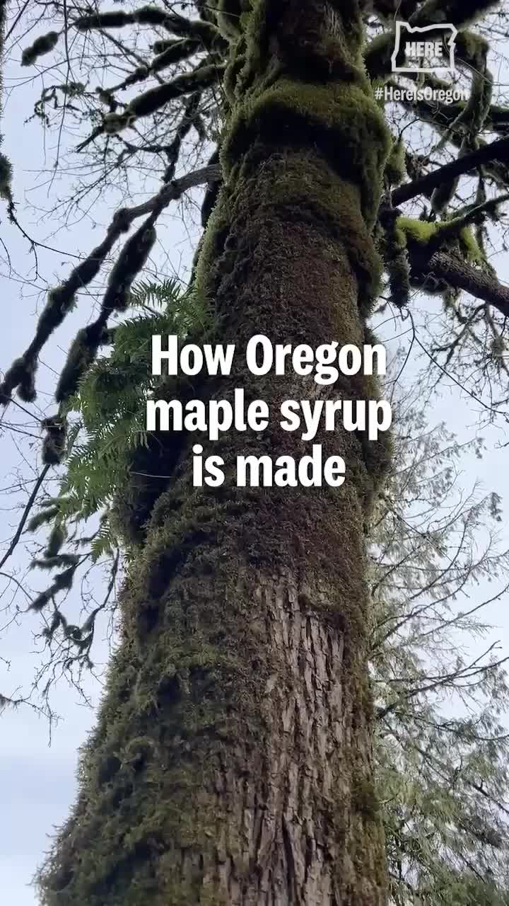 Video post from hereisoregon.