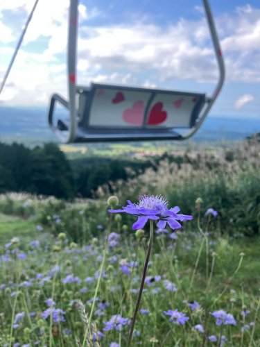 Carousel post from masumizutenkuu.