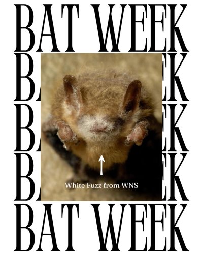 Photo post from iscbc.