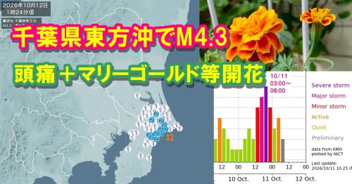 Photo post from nmomose.
