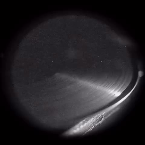 Video post from louies_kitchen_and_bar.