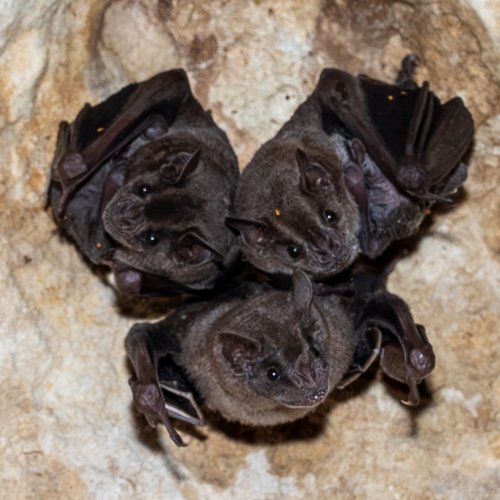 Photo post from biopostales.