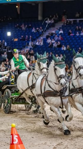 Video post from fei_global.